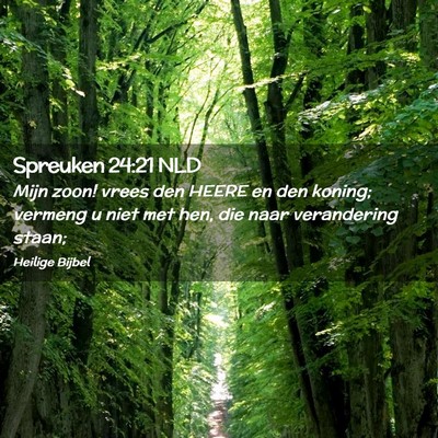 Picture 02 - Spreuken 24:21 NLD - Mijn zoon! vrees den HEERE en den koning; vermeng - Bible Verse Picture