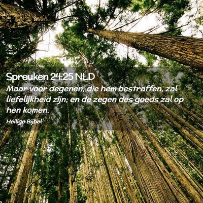 Picture 02 - Spreuken 24:25 NLD - Maar voor degenen, die hem bestraffen, zal - Bible Verse Picture