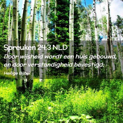 Picture 02 - Spreuken 24:3 NLD - Door wijsheid wordt een huis gebouwd, en door - Bible Verse Picture