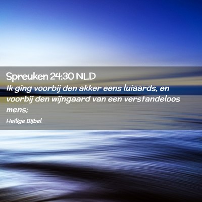 Picture 02 - Spreuken 24:30 NLD - Ik ging voorbij den akker eens luiaards, en - Bible Verse Picture