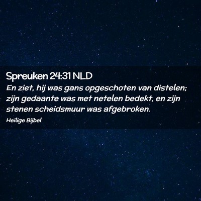 Picture 02 - Spreuken 24:31 NLD - En ziet, hij was gans opgeschoten van distelen; - Bible Verse Picture
