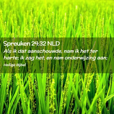 Picture 02 - Spreuken 24:32 NLD - Als ik dat aanschouwde, nam ik het ter harte; ik - Bible Verse Picture