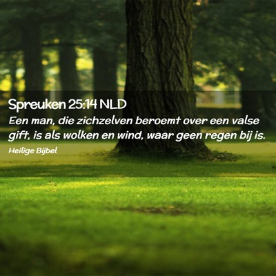 Picture 02 - Spreuken 25:14 NLD - Een man, die zichzelven beroemt over een valse - Bible Verse Picture