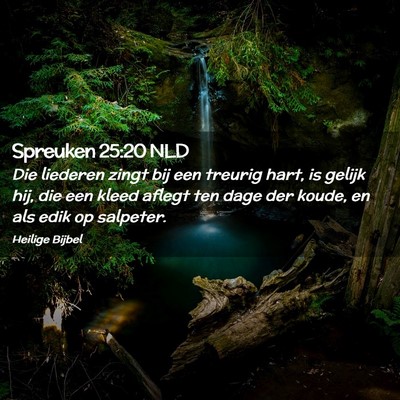 Picture 02 - Spreuken 25:20 NLD - Die liederen zingt bij een treurig hart, is - Bible Verse Picture
