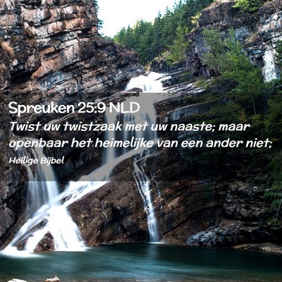 Picture 02 - Spreuken 25:9 NLD - Twist uw twistzaak met uw naaste; maar openbaar - Bible Verse Picture