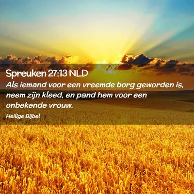 Picture 02 - Spreuken 27:13 NLD - Als iemand voor een vreemde borg geworden is, - Bible Verse Picture