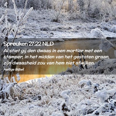 Picture 02 - Spreuken 27:22 NLD - Al stiet gij den dwaas in een mortier met een - Bible Verse Picture