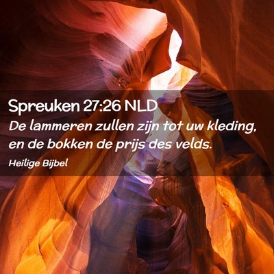 Picture 02 - Spreuken 27:26 NLD - De lammeren zullen zijn tot uw kleding, en de - Bible Verse Picture