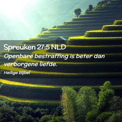 Picture 02 - Spreuken 27:5 NLD - Openbare bestraffing is beter dan verborgene - Bible Verse Picture
