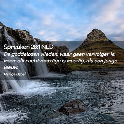 Picture 02 - Spreuken 28:1 NLD - De goddelozen vlieden, waar geen vervolger is; - Bible Verse Picture