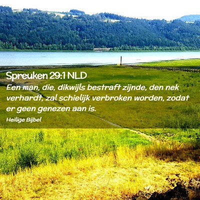 Picture 02 - Spreuken 29:1 NLD - Een man, die, dikwijls bestraft zijnde, den nek - Bible Verse Picture