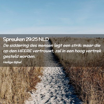 Picture 02 - Spreuken 29:25 NLD - De siddering des mensen legt een strik; maar die - Bible Verse Picture
