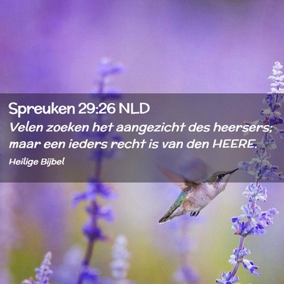 Picture 02 - Spreuken 29:26 NLD - Velen zoeken het aangezicht des heersers; maar - Bible Verse Picture
