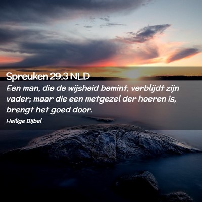 Picture 02 - Spreuken 29:3 NLD - Een man, die de wijsheid bemint, verblijdt zijn - Bible Verse Picture