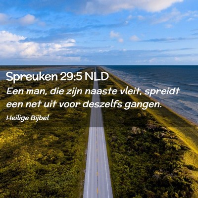 Picture 02 - Spreuken 29:5 NLD - Een man, die zijn naaste vleit, spreidt een net - Bible Verse Picture