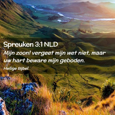 Picture 02 - Spreuken 3:1 NLD - Mijn zoon! vergeet mijn wet niet, maar uw hart - Bible Verse Picture