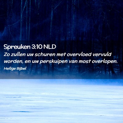 Picture 02 - Spreuken 3:10 NLD - Zo zullen uw schuren met overvloed vervuld - Bible Verse Picture