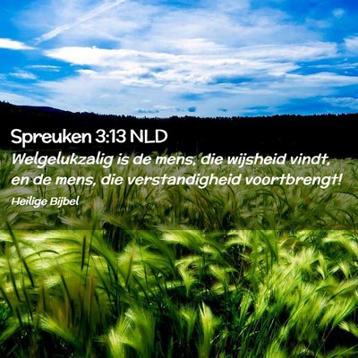 Picture 02 - Spreuken 3:13 NLD - Welgelukzalig is de mens, die wijsheid vindt, en - Bible Verse Picture