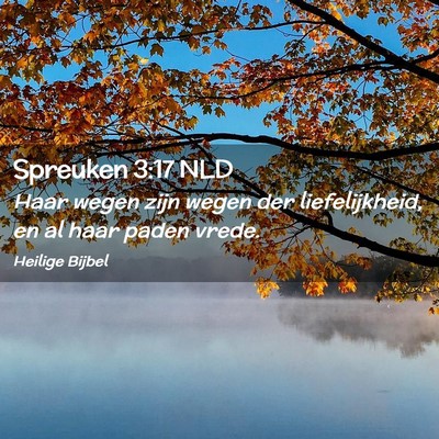Picture 02 - Spreuken 3:17 NLD - Haar wegen zijn wegen der liefelijkheid, en al - Bible Verse Picture