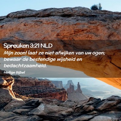 Picture 02 - Spreuken 3:21 NLD - Mijn zoon! laat ze niet afwijken van uw ogen; - Bible Verse Picture