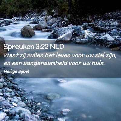 Picture 02 - Spreuken 3:22 NLD - Want zij zullen het leven voor uw ziel zijn, en - Bible Verse Picture