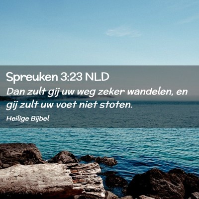 Picture 02 - Spreuken 3:23 NLD - Dan zult gij uw weg zeker wandelen, en gij zult - Bible Verse Picture