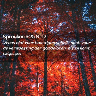 Picture 02 - Spreuken 3:25 NLD - Vrees niet voor haastigen schrik, noch voor de - Bible Verse Picture