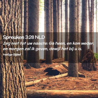 Picture 02 - Spreuken 3:28 NLD - Zeg niet tot uw naaste: Ga heen, en kom weder, en - Bible Verse Picture
