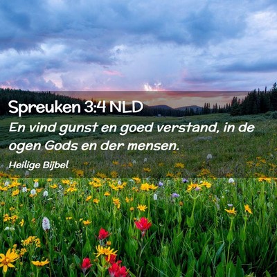 Picture 02 - Spreuken 3:4 NLD - En vind gunst en goed verstand, in de ogen Gods - Bible Verse Picture