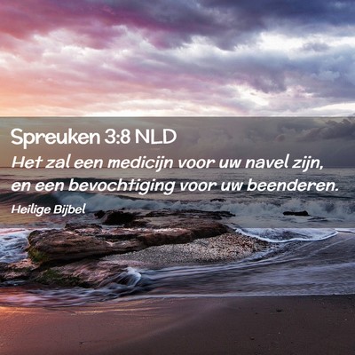 Picture 02 - Spreuken 3:8 NLD - Het zal een medicijn voor uw navel zijn, en een - Bible Verse Picture