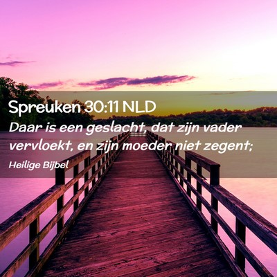 Picture 02 - Spreuken 30:11 NLD - Daar is een geslacht, dat zijn vader vervloekt, - Bible Verse Picture