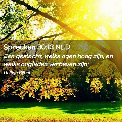 Picture 02 - Spreuken 30:13 NLD - Een geslacht, welks ogen hoog zijn, en welks - Bible Verse Picture