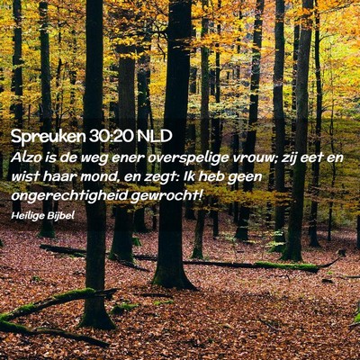 Picture 02 - Spreuken 30:20 NLD - Alzo is de weg ener overspelige vrouw; zij eet en - Bible Verse Picture