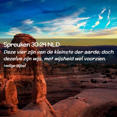 Picture 02 - Spreuken 30:24 NLD - Deze vier zijn van de kleinste der aarde; doch - Bible Verse Picture