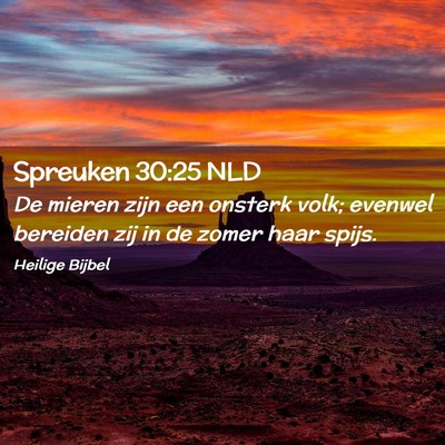 Picture 02 - Spreuken 30:25 NLD - De mieren zijn een onsterk volk; evenwel bereiden - Bible Verse Picture