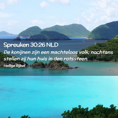 Picture 02 - Spreuken 30:26 NLD - De konijnen zijn een machteloos volk; nochtans - Bible Verse Picture