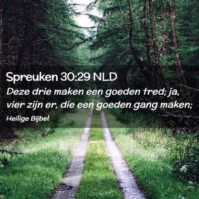 Picture 02 - Spreuken 30:29 NLD - Deze drie maken een goeden tred; ja, vier zijn - Bible Verse Picture