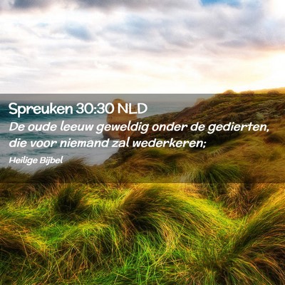 Picture 02 - Spreuken 30:30 NLD - De oude leeuw geweldig onder de gedierten, die - Bible Verse Picture