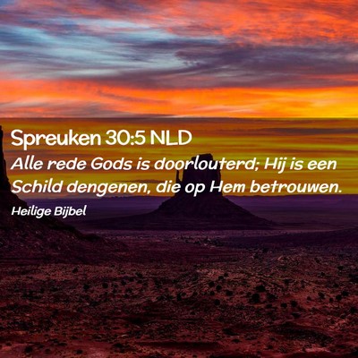 Picture 02 - Spreuken 30:5 NLD - Alle rede Gods is doorlouterd; Hij is een Schild - Bible Verse Picture