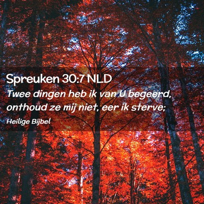 Picture 02 - Spreuken 30:7 NLD - Twee dingen heb ik van U begeerd, onthoud ze mij - Bible Verse Picture