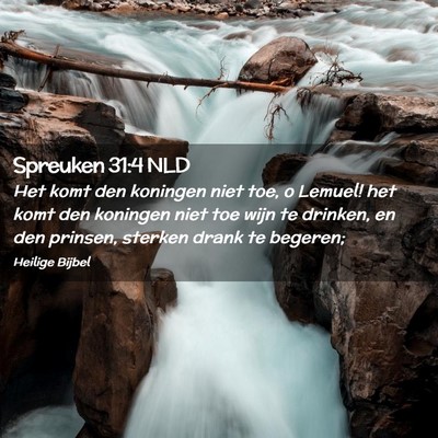 Picture 02 - Spreuken 31:4 NLD - Het komt den koningen niet toe, o Lemuel! het - Bible Verse Picture