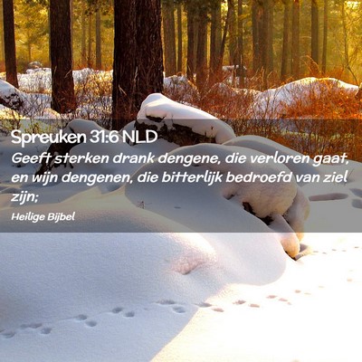 Picture 02 - Spreuken 31:6 NLD - Geeft sterken drank dengene, die verloren gaat, - Bible Verse Picture