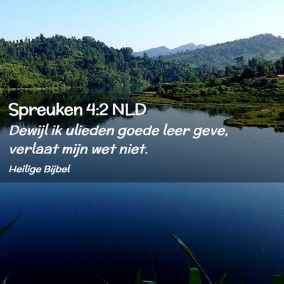 Picture 02 - Spreuken 4:2 NLD - Dewijl ik ulieden goede leer geve, verlaat mijn - Bible Verse Picture