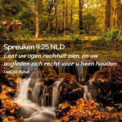 Picture 02 - Spreuken 4:25 NLD - Laat uw ogen rechtuit zien, en uw oogleden zich - Bible Verse Picture