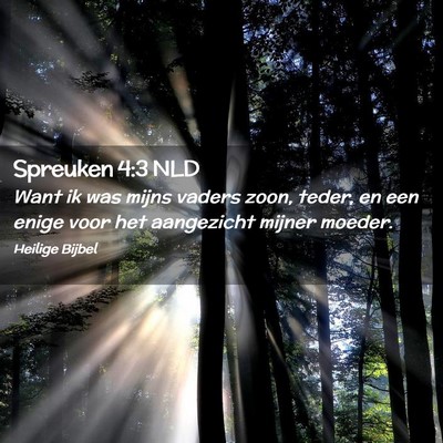 Picture 02 - Spreuken 4:3 NLD - Want ik was mijns vaders zoon, teder, en een - Bible Verse Picture