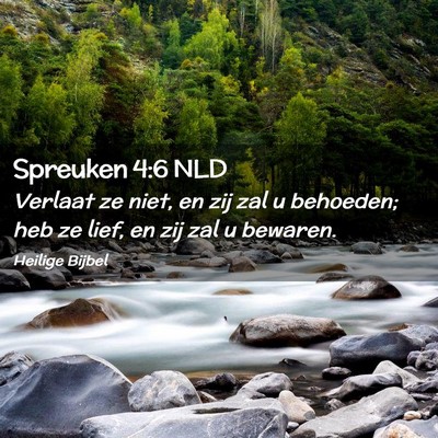 Picture 02 - Spreuken 4:6 NLD - Verlaat ze niet, en zij zal u behoeden; heb ze - Bible Verse Picture