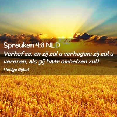Picture 02 - Spreuken 4:8 NLD - Verhef ze, en zij zal u verhogen; zij zal u - Bible Verse Picture