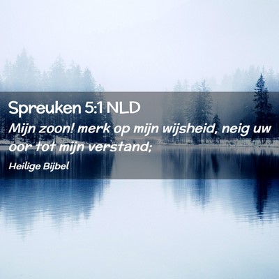 Picture 02 - Spreuken 5:1 NLD - Mijn zoon! merk op mijn wijsheid, neig uw oor tot - Bible Verse Picture