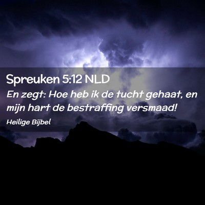 Picture 02 - Spreuken 5:12 NLD - En zegt: Hoe heb ik de tucht gehaat, en mijn hart - Bible Verse Picture