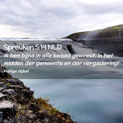 Picture 02 - Spreuken 5:14 NLD - Ik ben bijna in alle kwaad geweest, in het midden - Bible Verse Picture